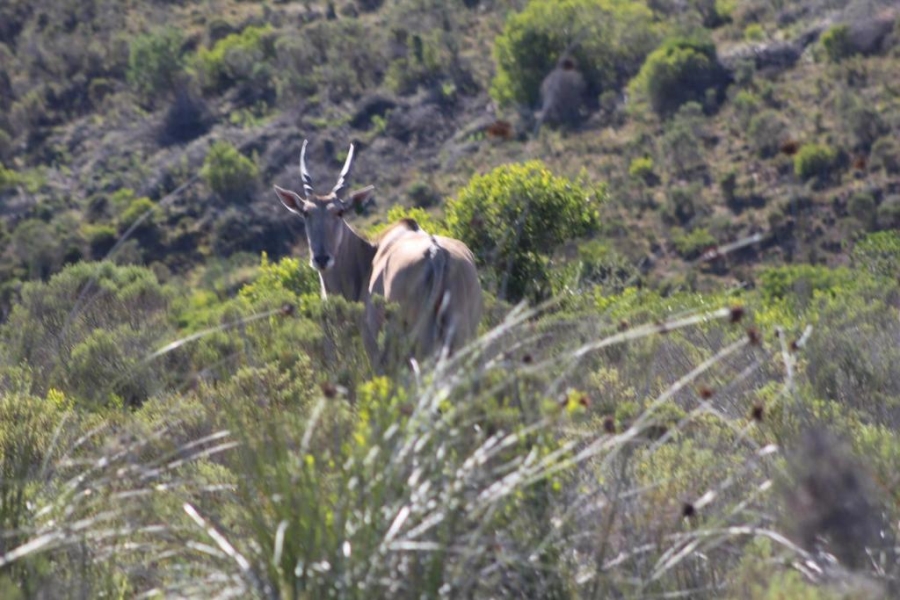  Bedroom Property for Sale in Mossel Bay Rural Western Cape